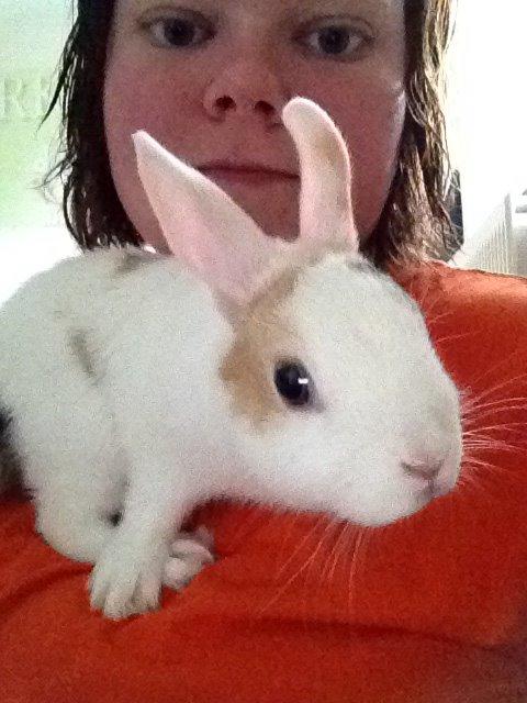 Kanin Birkegades Plet - Hvad er det for en ting mor? billede 11