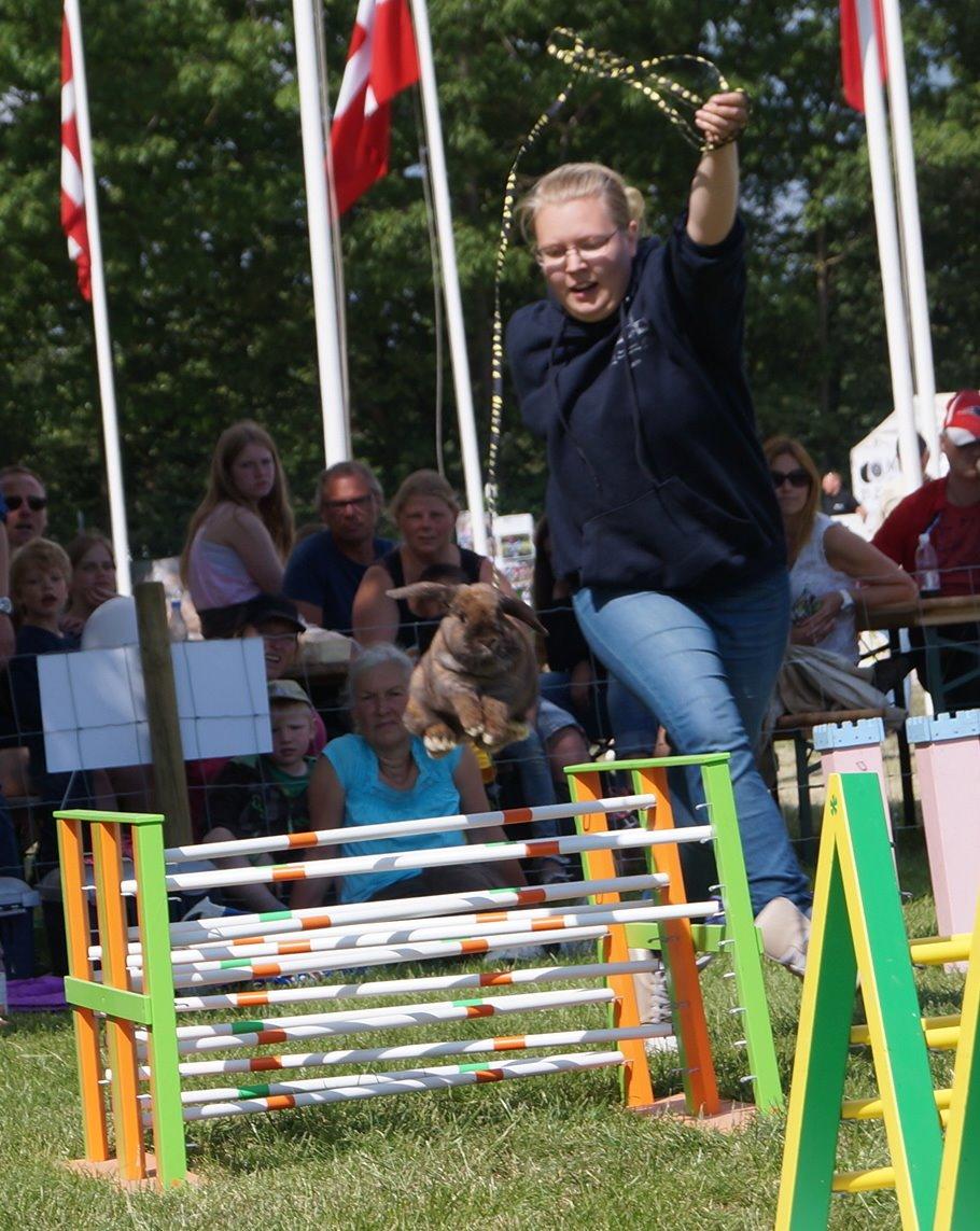 Kanin Riot's Life of Lucy † DØD 15.6.2014 † billede 1