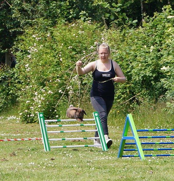 Kanin Riot's Life of Lucy † DØD 15.6.2014 † billede 26