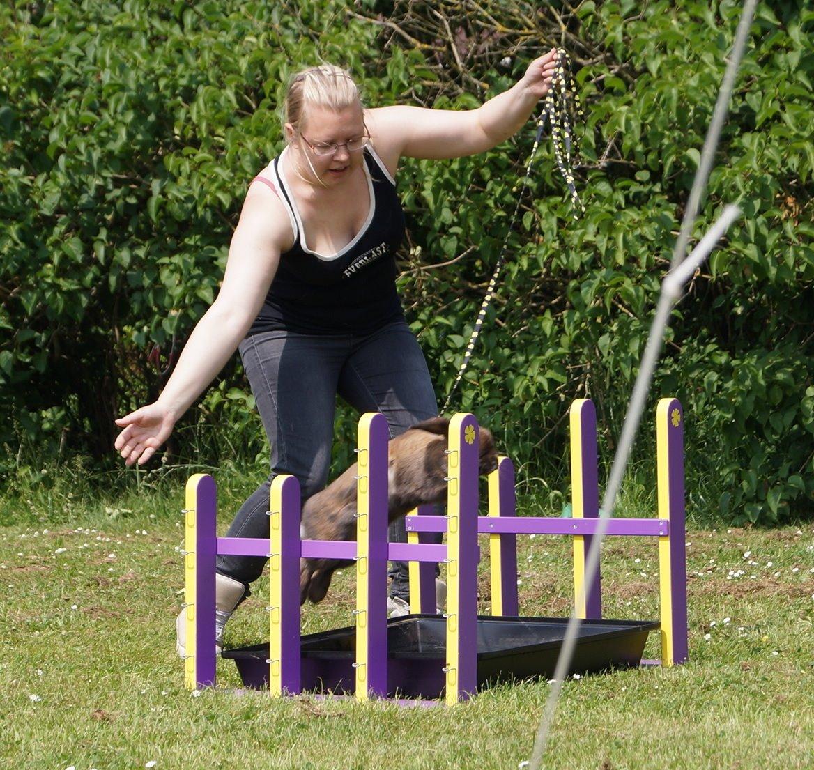 Kanin Riot's Life of Lucy † DØD 15.6.2014 † billede 29