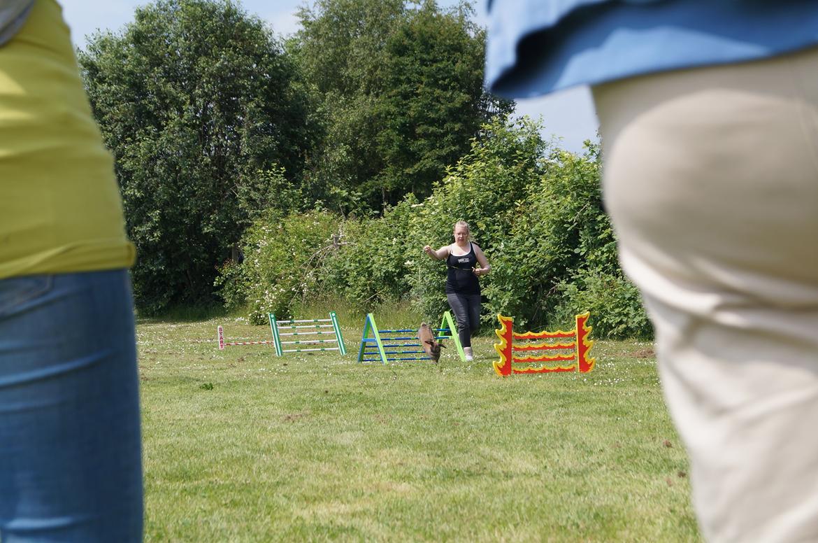 Kanin Riot's Life of Lucy † DØD 15.6.2014 † billede 27