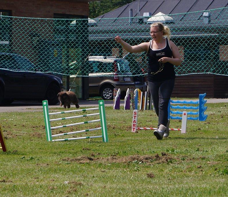 Kanin Riot's Life of Lucy † DØD 15.6.2014 † billede 32