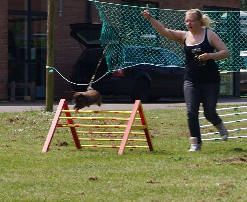 Kanin Riot's Life of Lucy † DØD 15.6.2014 † billede 33