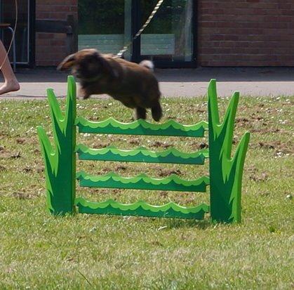 Kanin Riot's Life of Lucy † DØD 15.6.2014 † billede 34