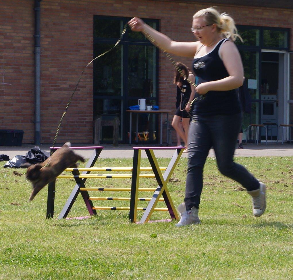 Kanin Riot's Life of Lucy † DØD 15.6.2014 † billede 35