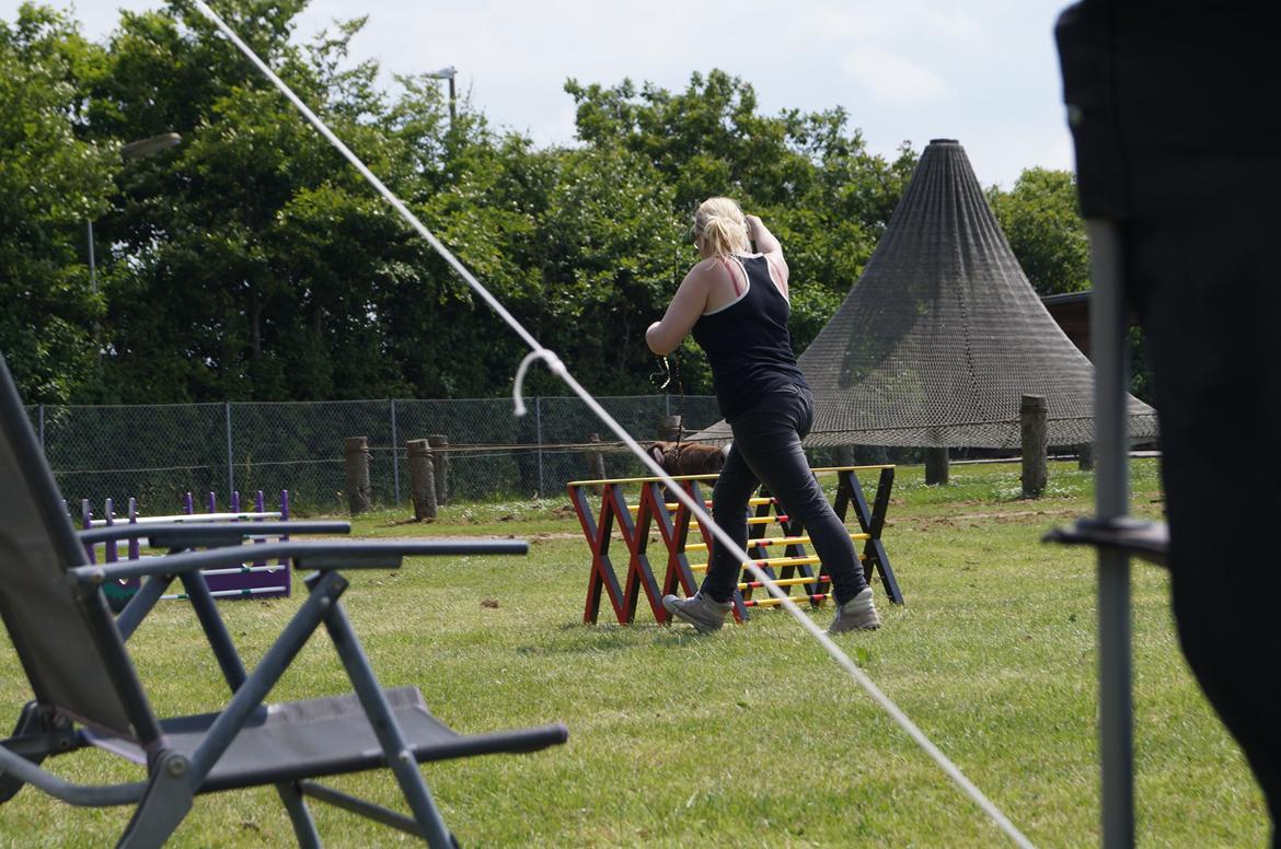 Kanin Riot's Life of Lucy † DØD 15.6.2014 † billede 38