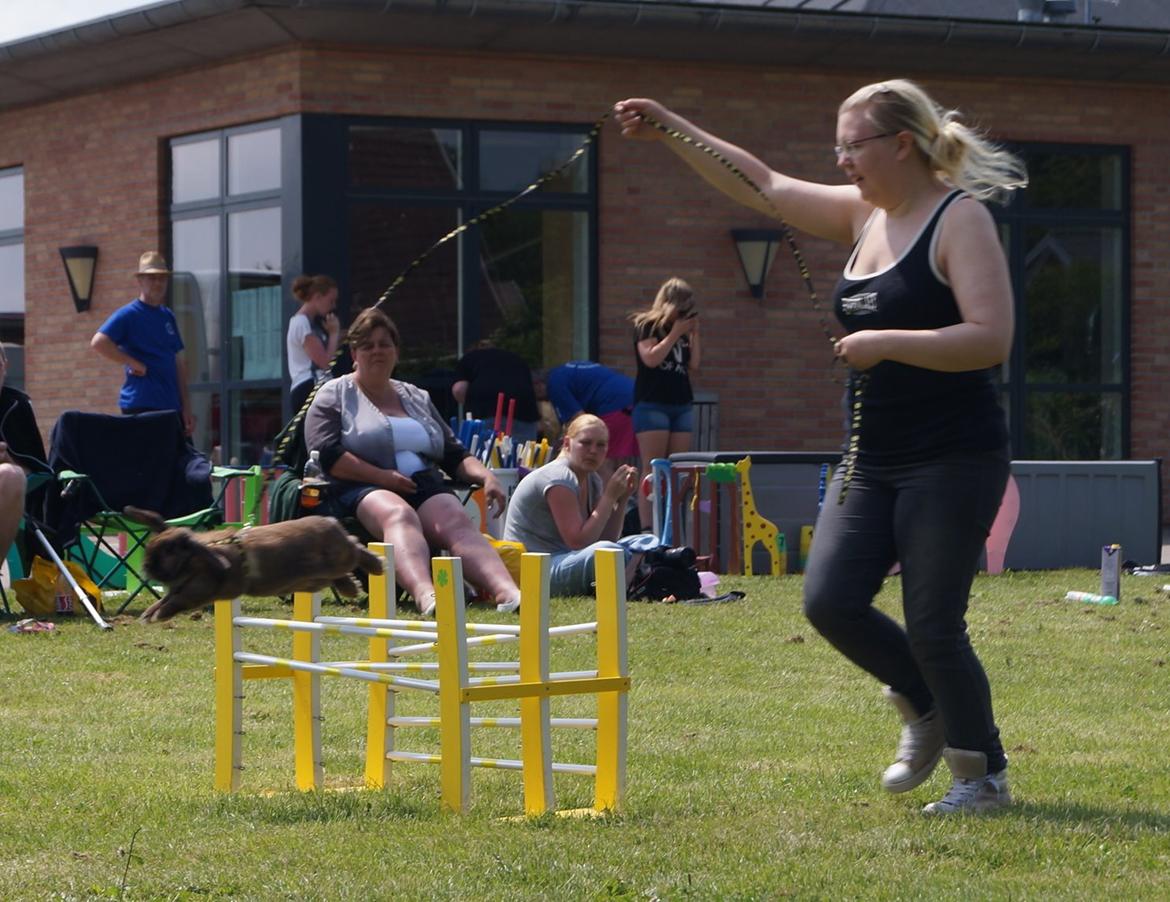 Kanin Riot's Life of Lucy † DØD 15.6.2014 † billede 36