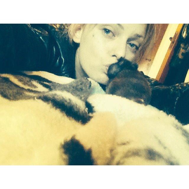 Hamster Chili † billede 13