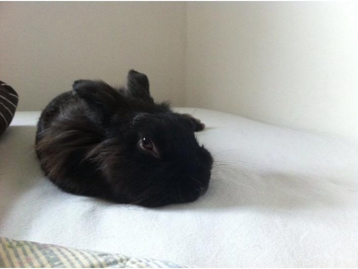 {{currentPhoto.altText}} billede {{currentPhoto.number}}