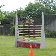 Kanin Lyngs Stand Out