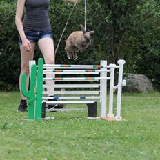 Kanin Taharas Abigail Gabble