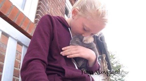 Chinchilla Charly billede 11