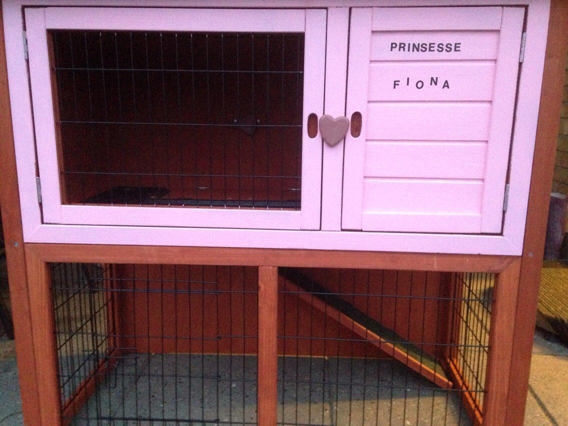 Kanin Fiona billede 7