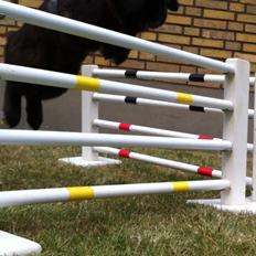 Kanin Sørensen's Buller