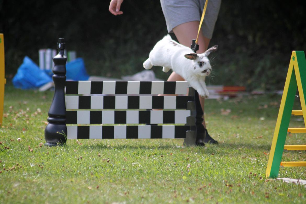 Kanin Winds Giyan billede 7