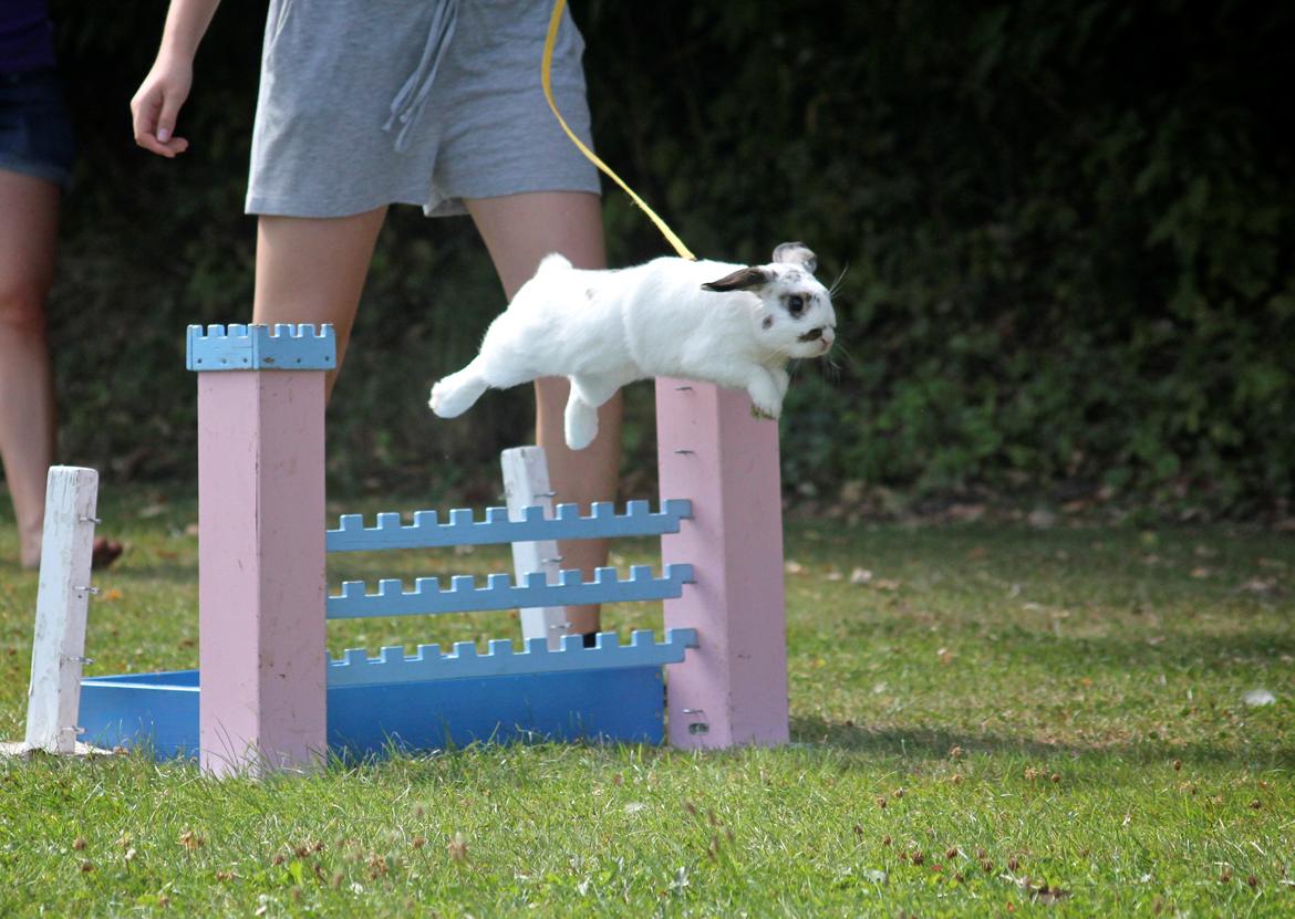 Kanin Winds Giyan billede 2