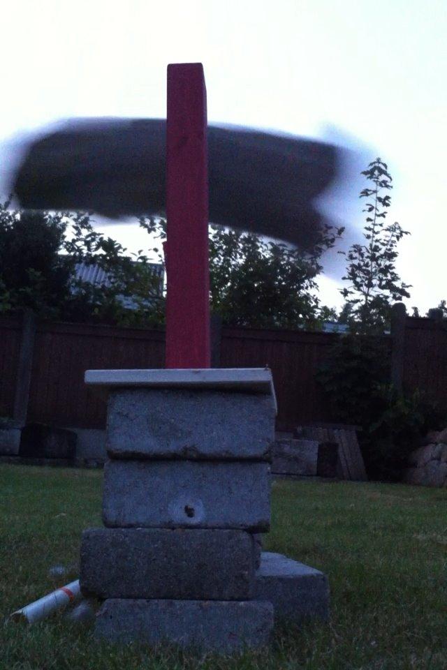 Kanin Skovhytten´s Daisy billede 18