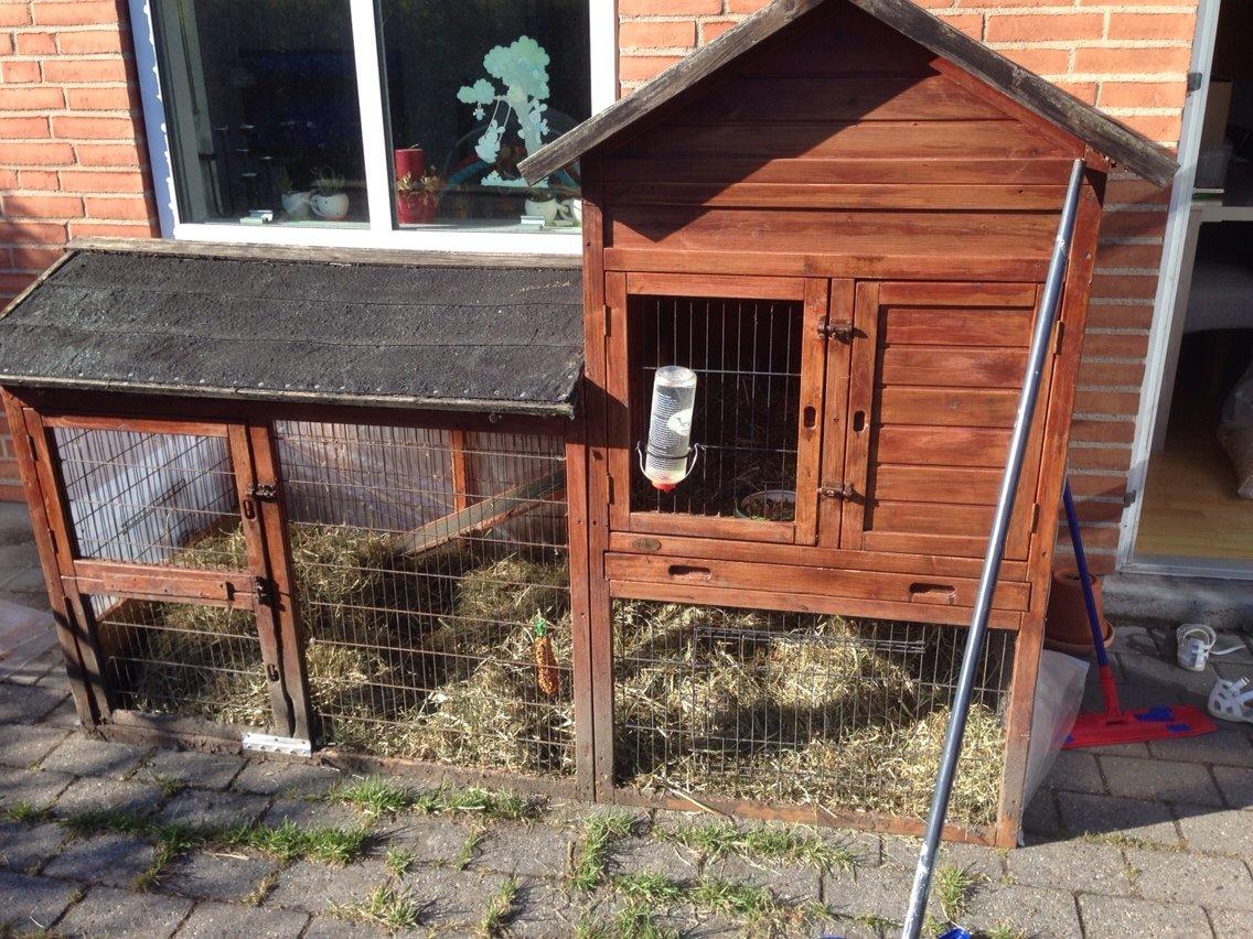 Kanin Jumper / Homer billede 5