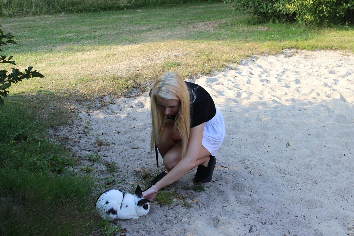 Kanin Skip billede 13