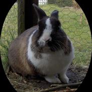 Kanin Silver     R.I.P :(