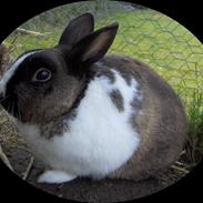 Kanin Silver     R.I.P :(