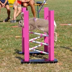 Kanin Zargos Summer Catch Af Klundtes