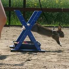 Kanin Hybens Eau Decibel Legend 