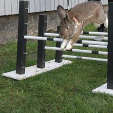 Kanin Hybens Eau Decibel Legend 