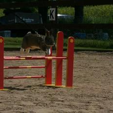 Kanin Hybens Eau Decibel Legend 