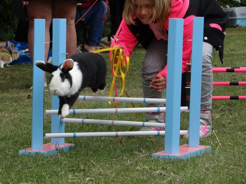 Kanin Brocks Arks Diva billede 1