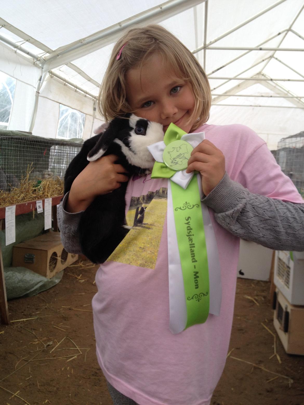 Kanin Brocks Arks Diva billede 11