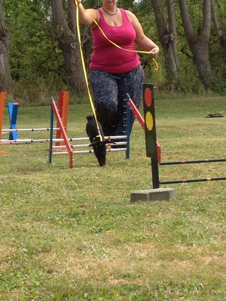 Kanin Brocks Arks Diablo billede 8