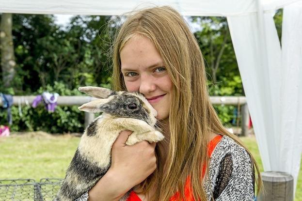 Kanin Nini - Børnedyrskue i Udby, 2014 billede 16