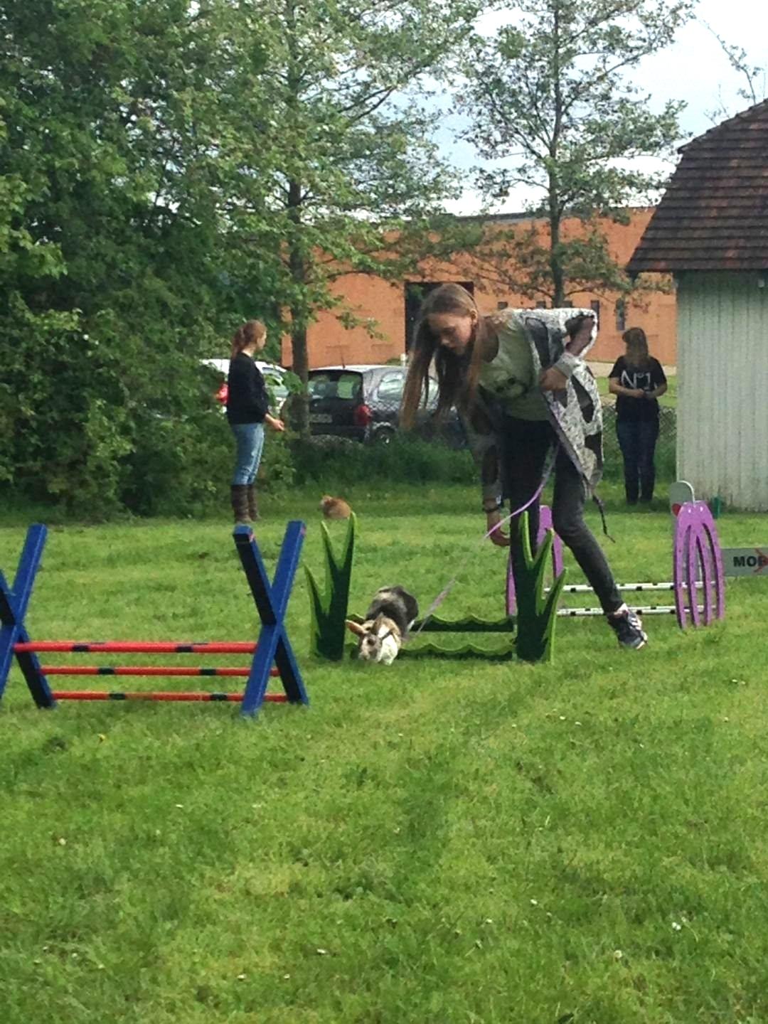 Kanin Nini - På Nyvang D. 10. Maj 2014, hvor jeg hopper Let Lige med Nini <3  billede 15