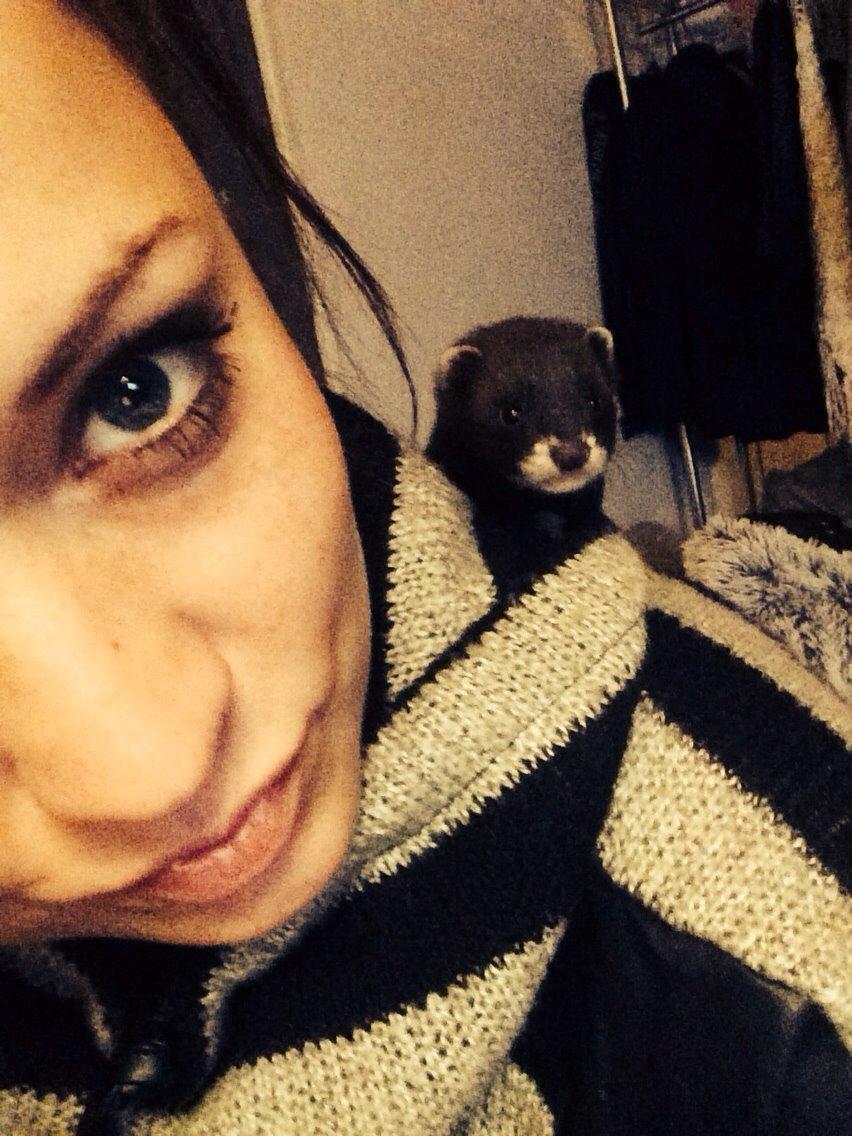 Ilder Lyon Ferretry's Europae Ictis billede 12