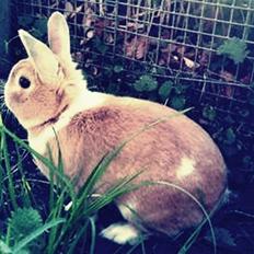 Kanin Cody - the Blue Eye <3