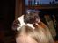 Hamster Gismo