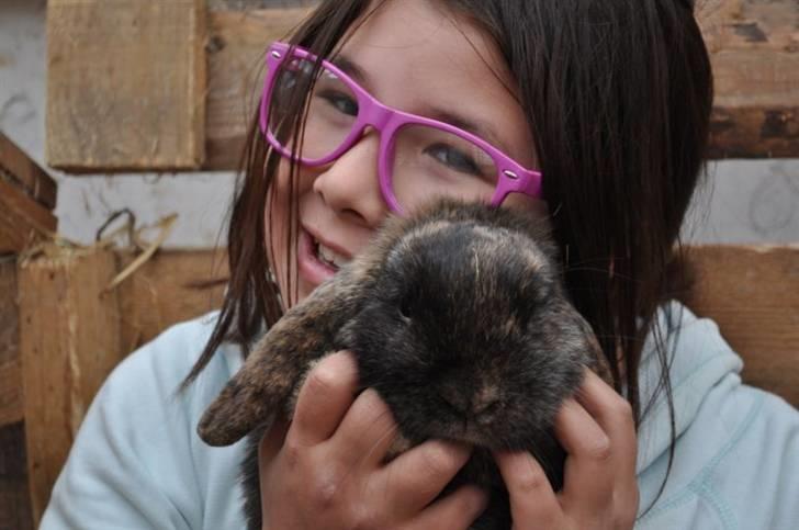 Kanin Don ø R.I.P :`( billede 7