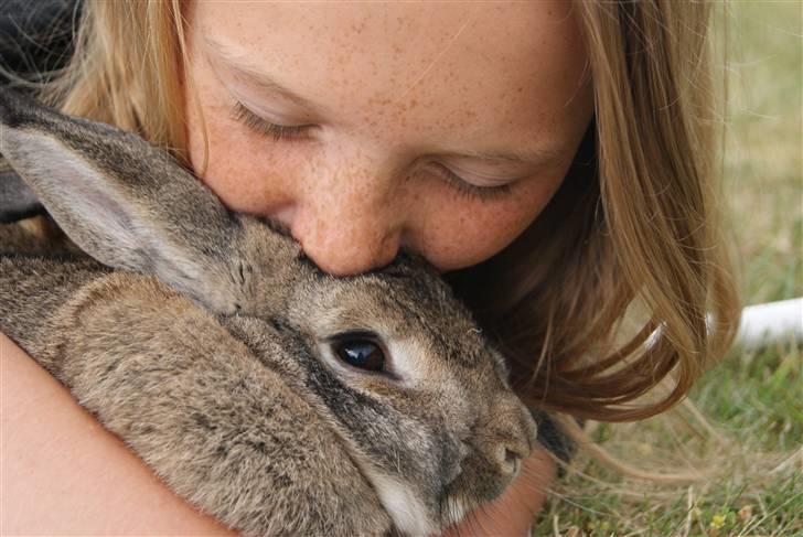 Kanin Ninus - Love you <3 billede 3