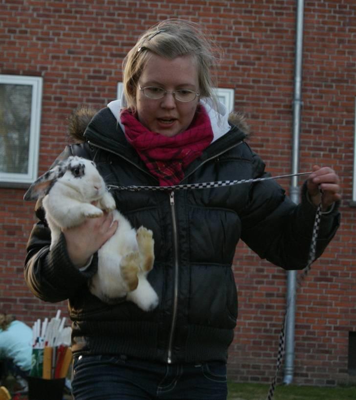 Kanin Mimmer  † DØD 13.05.15 † billede 3