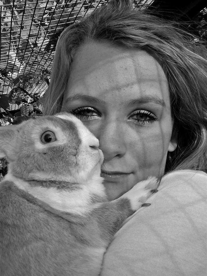 Kanin Cody - the Blue Eye <3 - elsker diig virkelig <33 billede 2