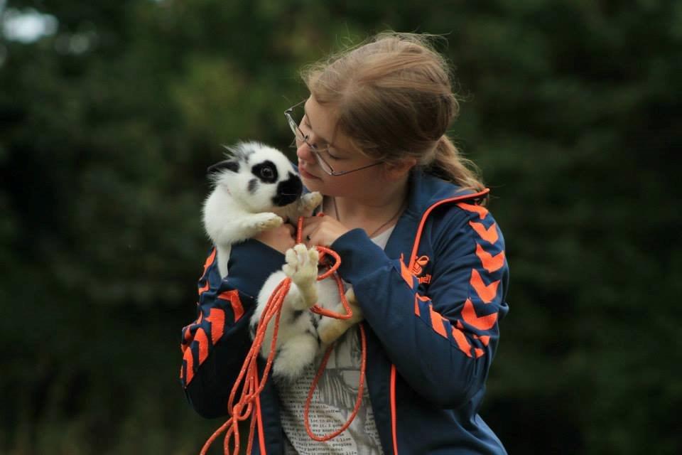 Kanin Kaninbandens Hero billede 21