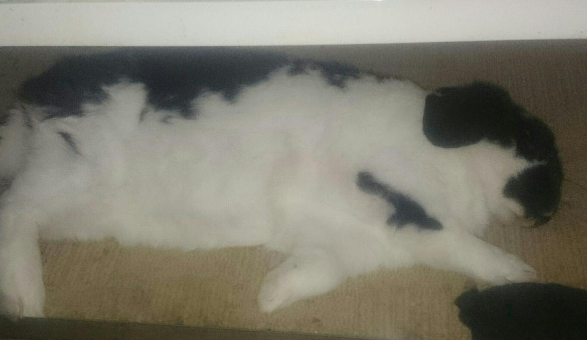 Kanin Bastian - Uhh se mig mor,  jeg er så utryg jeg bare er på mærkerne hele tiden;) billede 2