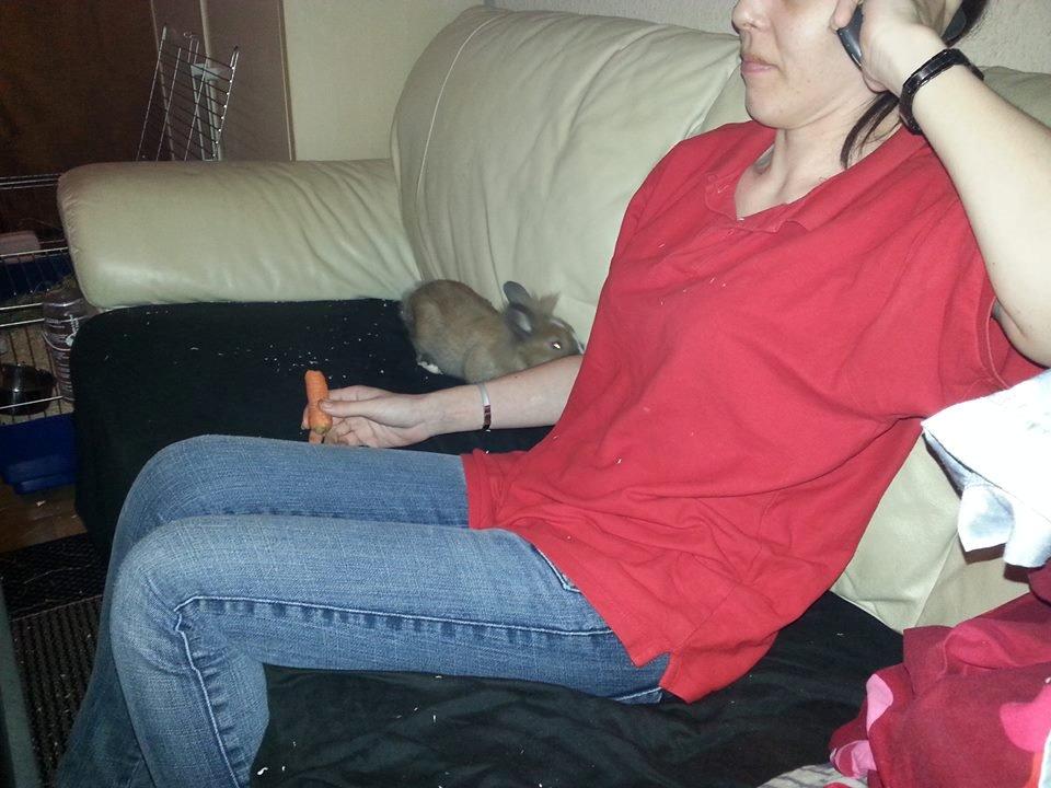 Kanin Fighter by Heart billede 9