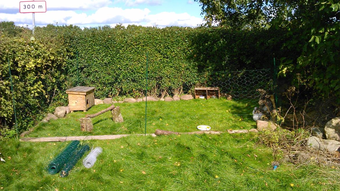 Kanin Kaya - Deres nye hjem. billede 5