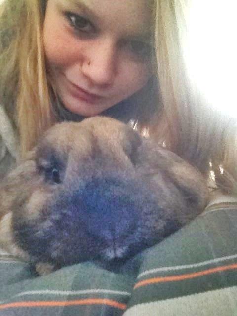 Kanin Bamse billede 12