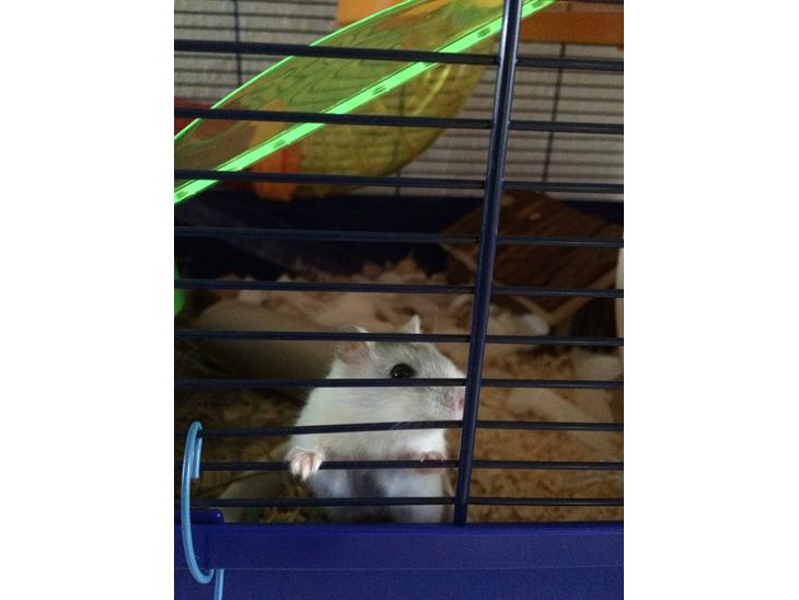 {{currentPhoto.altText}} billede {{currentPhoto.number}}