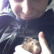 Hamster R.I.P Jessica