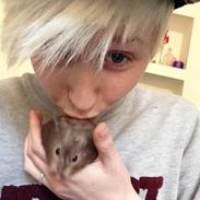 Hamster R.I.P Jessica