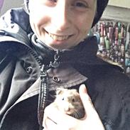 Hamster R.I.P Jessica